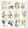 Papeles Scrapbooking SLS-035 ''Herbario''---- PRODUCTO DE PRECIO REDUCIDO